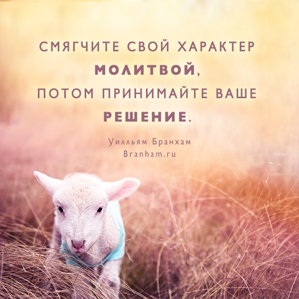 Картинка цитаты