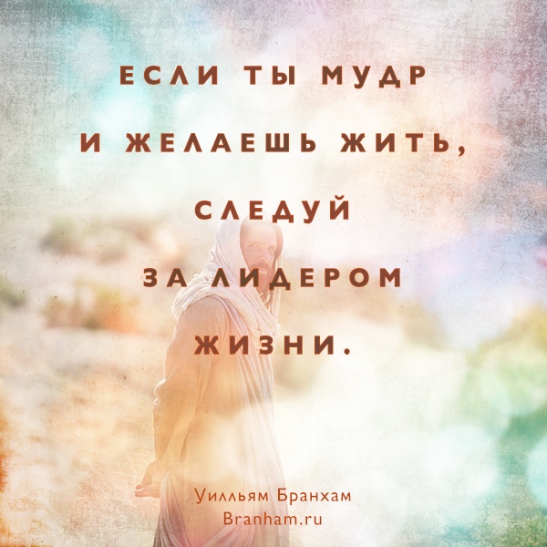 Картинка цитаты