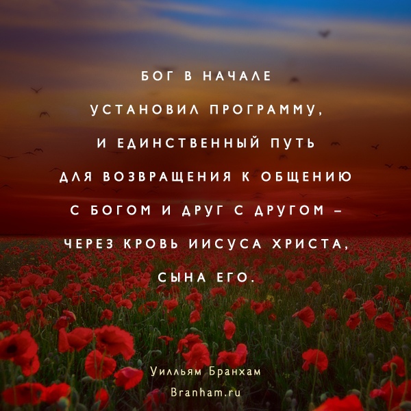 Картинка цитаты