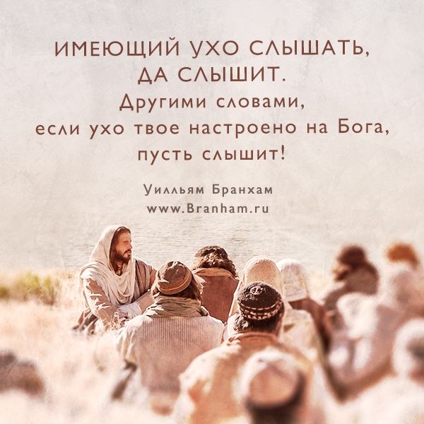 Картинка цитаты