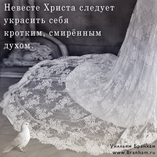 Картинка цитаты