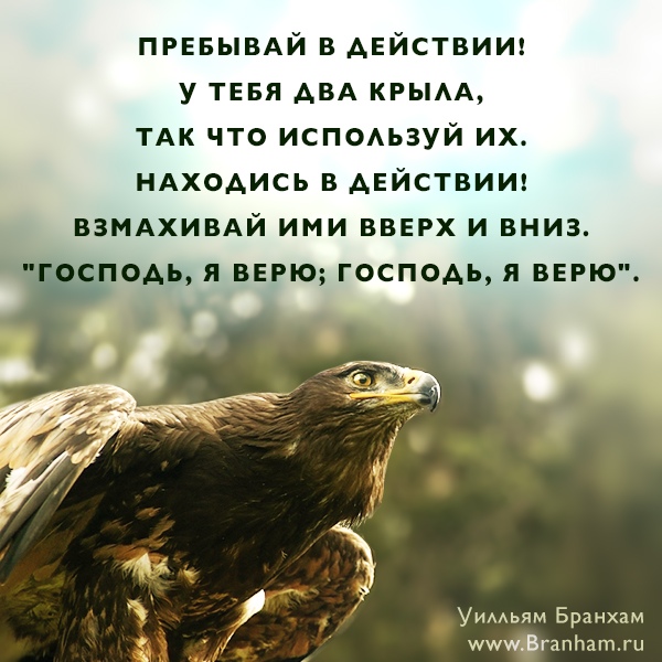 Картинка цитаты