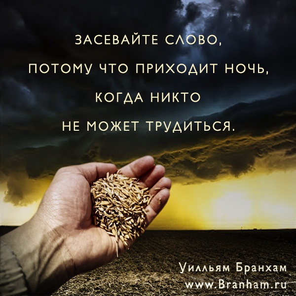 Картинка цитаты