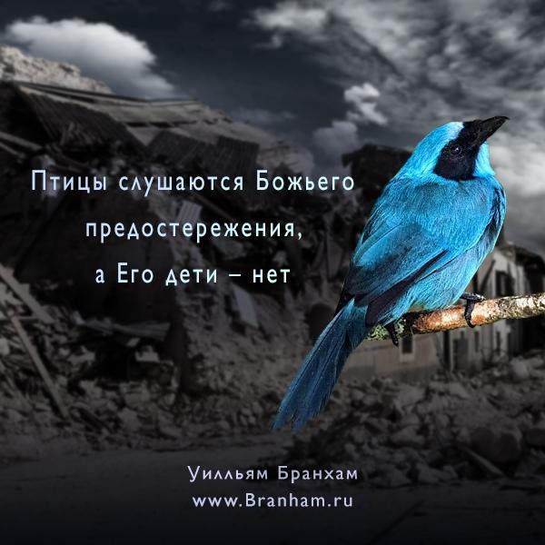 Картинка цитаты