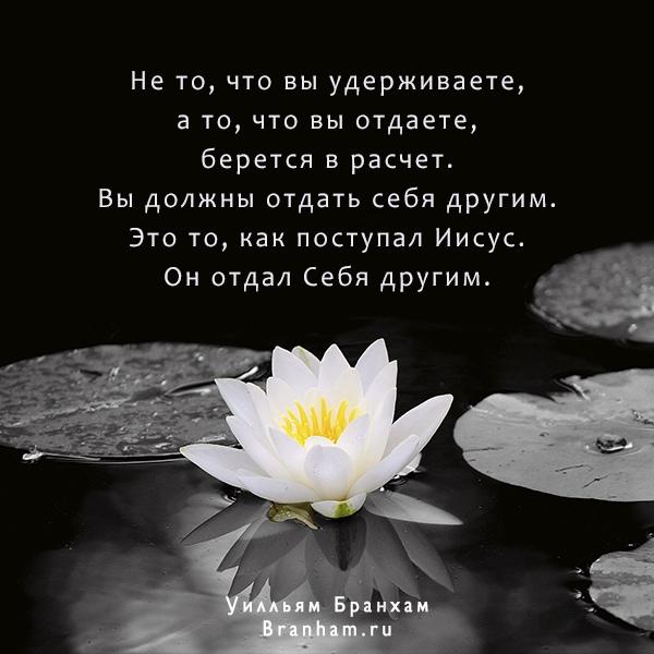 Картинка цитаты