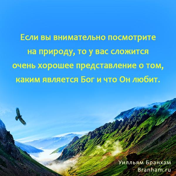 Картинка цитаты