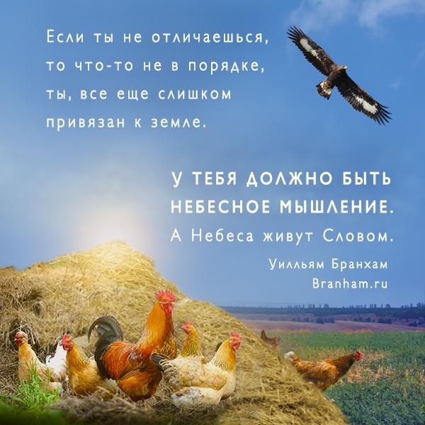 Картинка цитаты