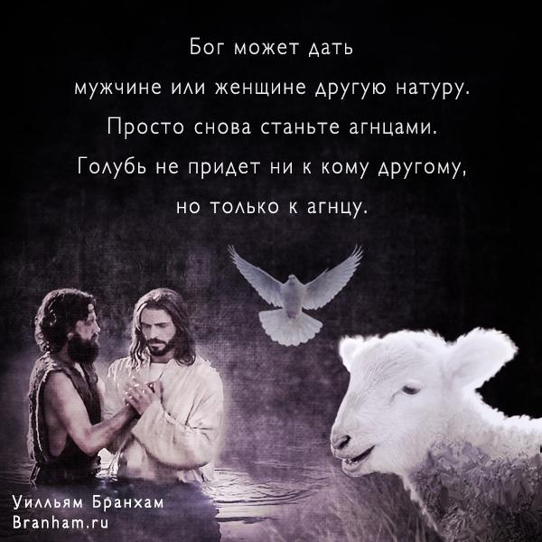 Картинка цитаты