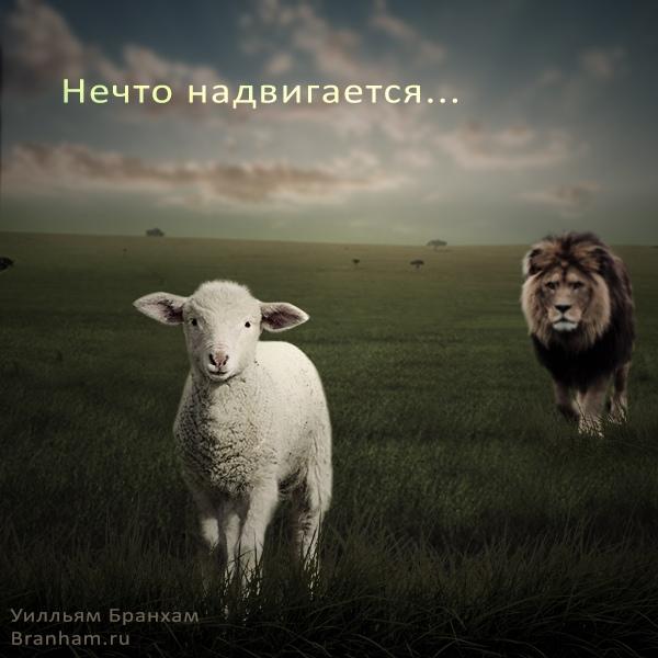 Картинка цитаты