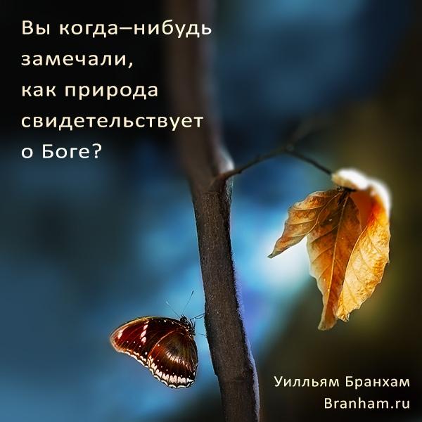 Картинка цитаты