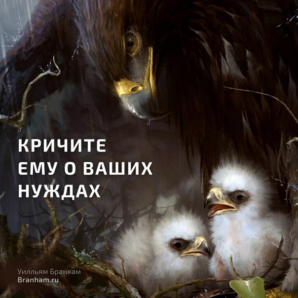 Картинка цитаты