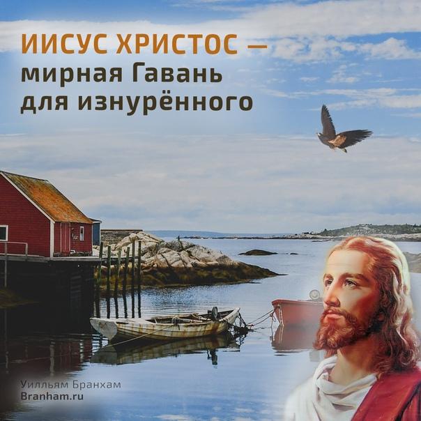 Картинка цитаты