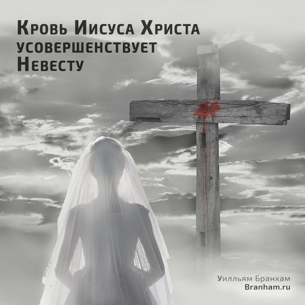 Картинка цитаты