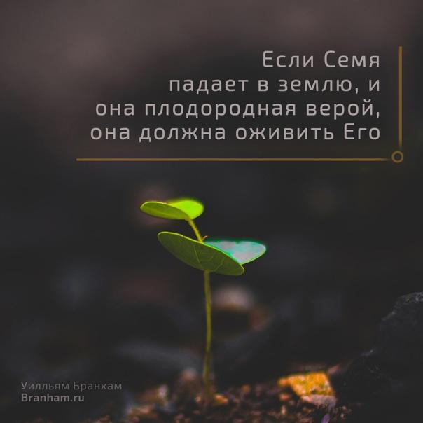 Картинка цитаты