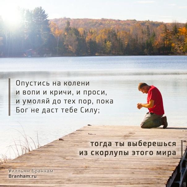 Картинка цитаты
