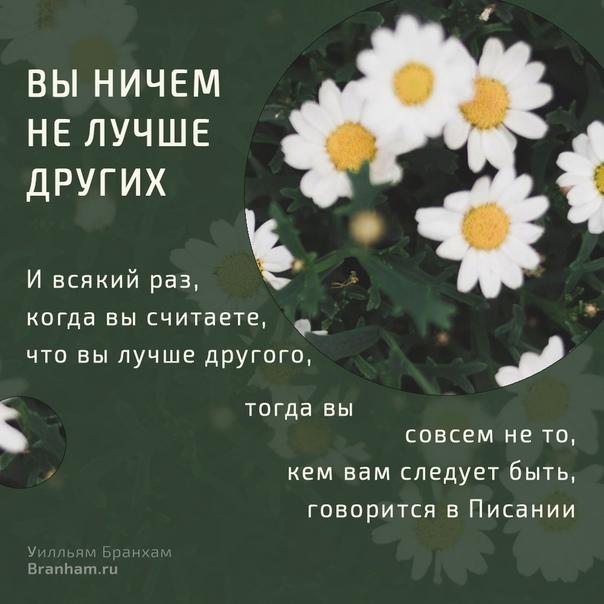 Картинка цитаты