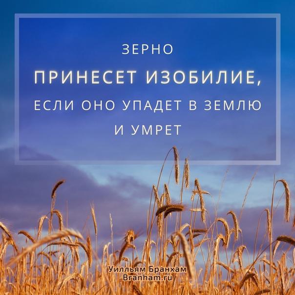 Картинка цитаты