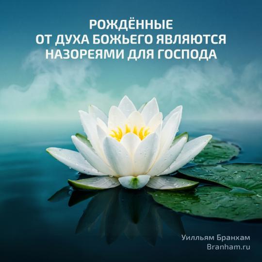 Картинка цитаты
